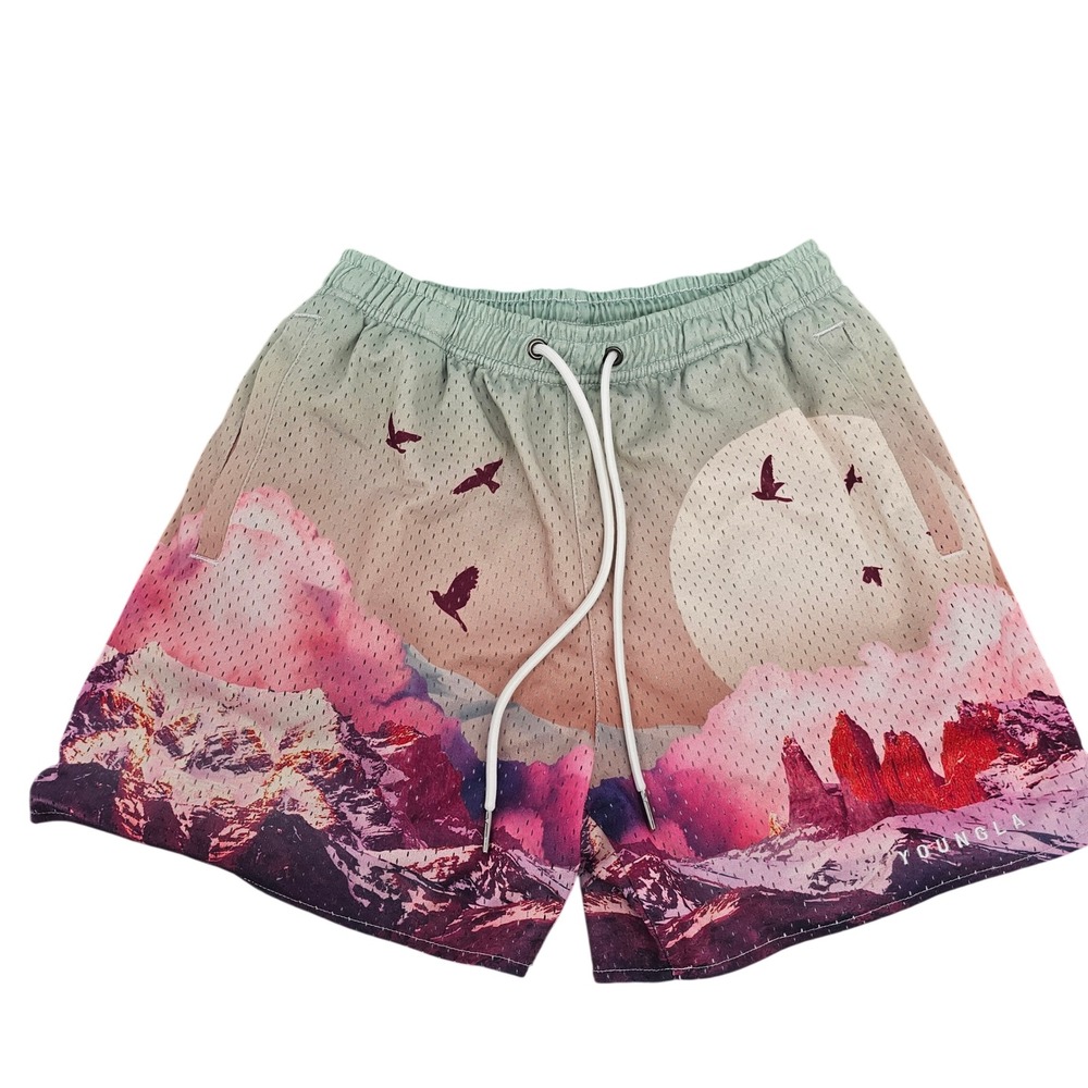 YoungLA 141 Mens Mesh Gym Shorts Mountain Landscape Print Multicolor Medium